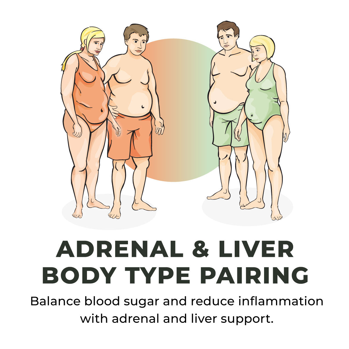 Adrenal and Liver Body Type Pairing