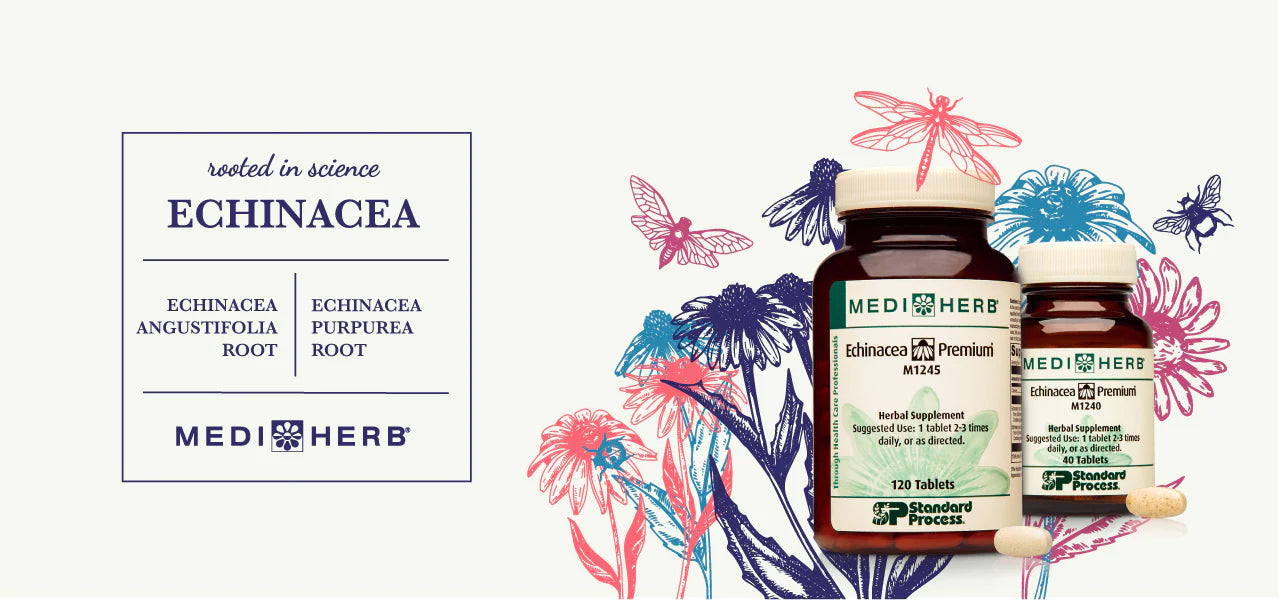 Echinacea Premium Immune Support