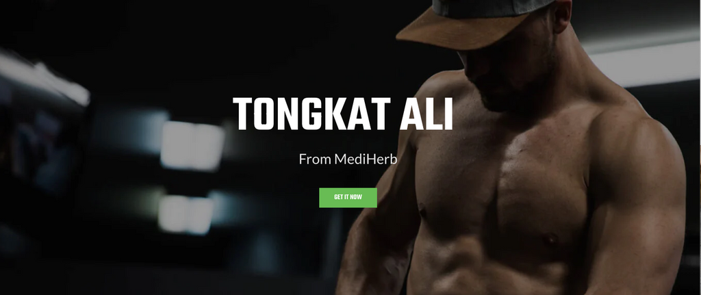 TongKat Ali & Muscle Building
