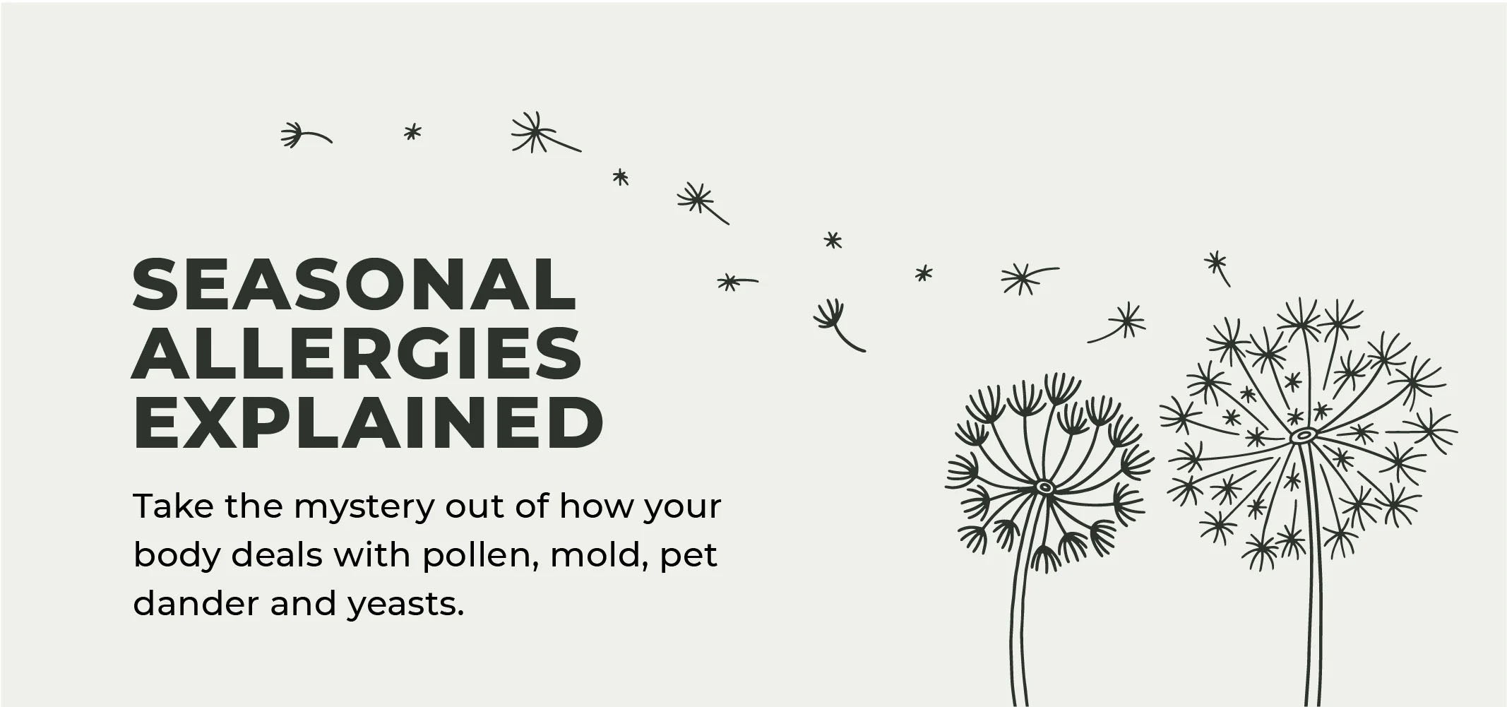 Seasonal Allergies Explained