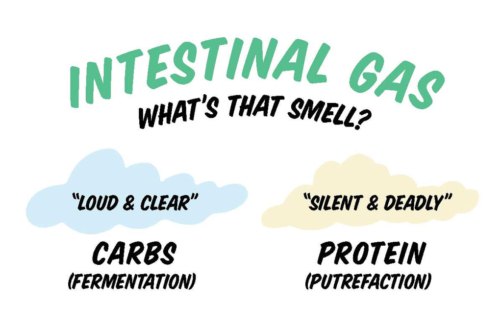 What Intestinal Gas Can Tell You About Your Digestion